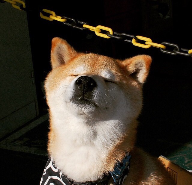 北京国安防线表现持续提升,北京国安出线