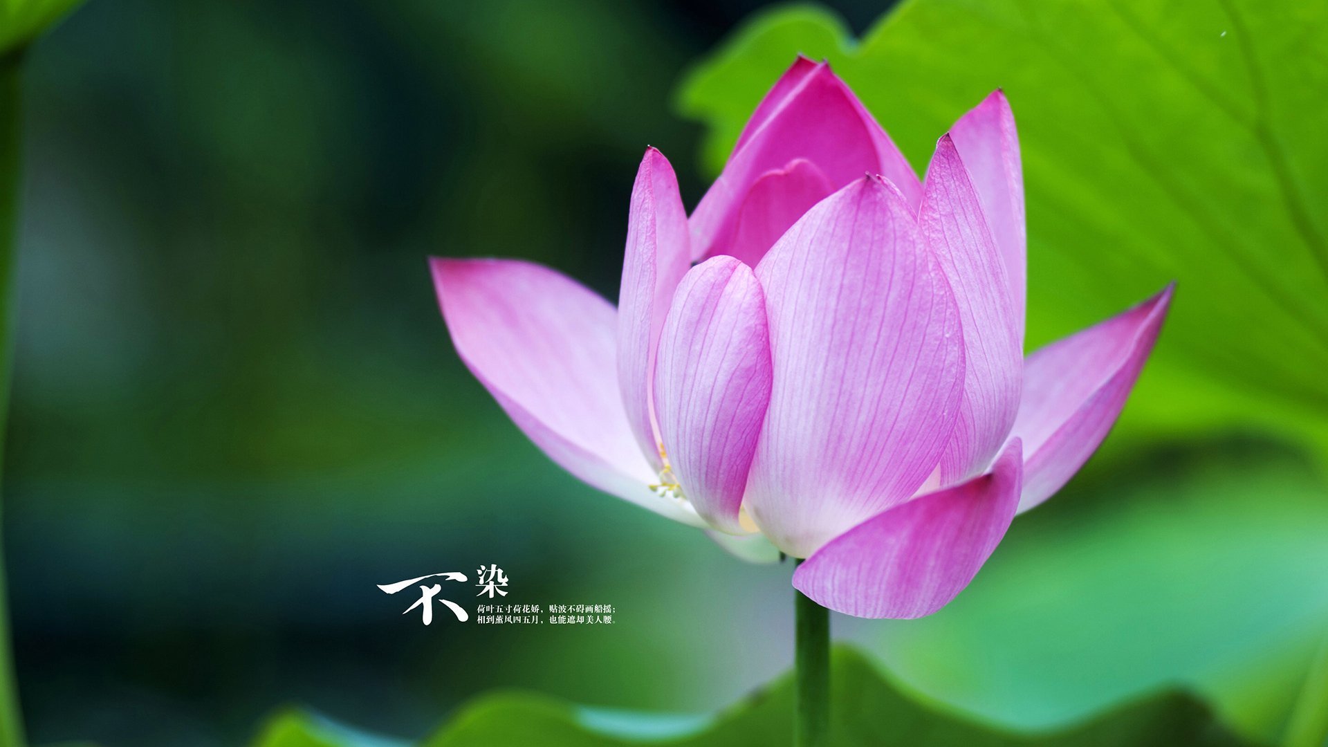 国足在亚洲杯中的球员表现评估方案实施,亚洲杯国足数据