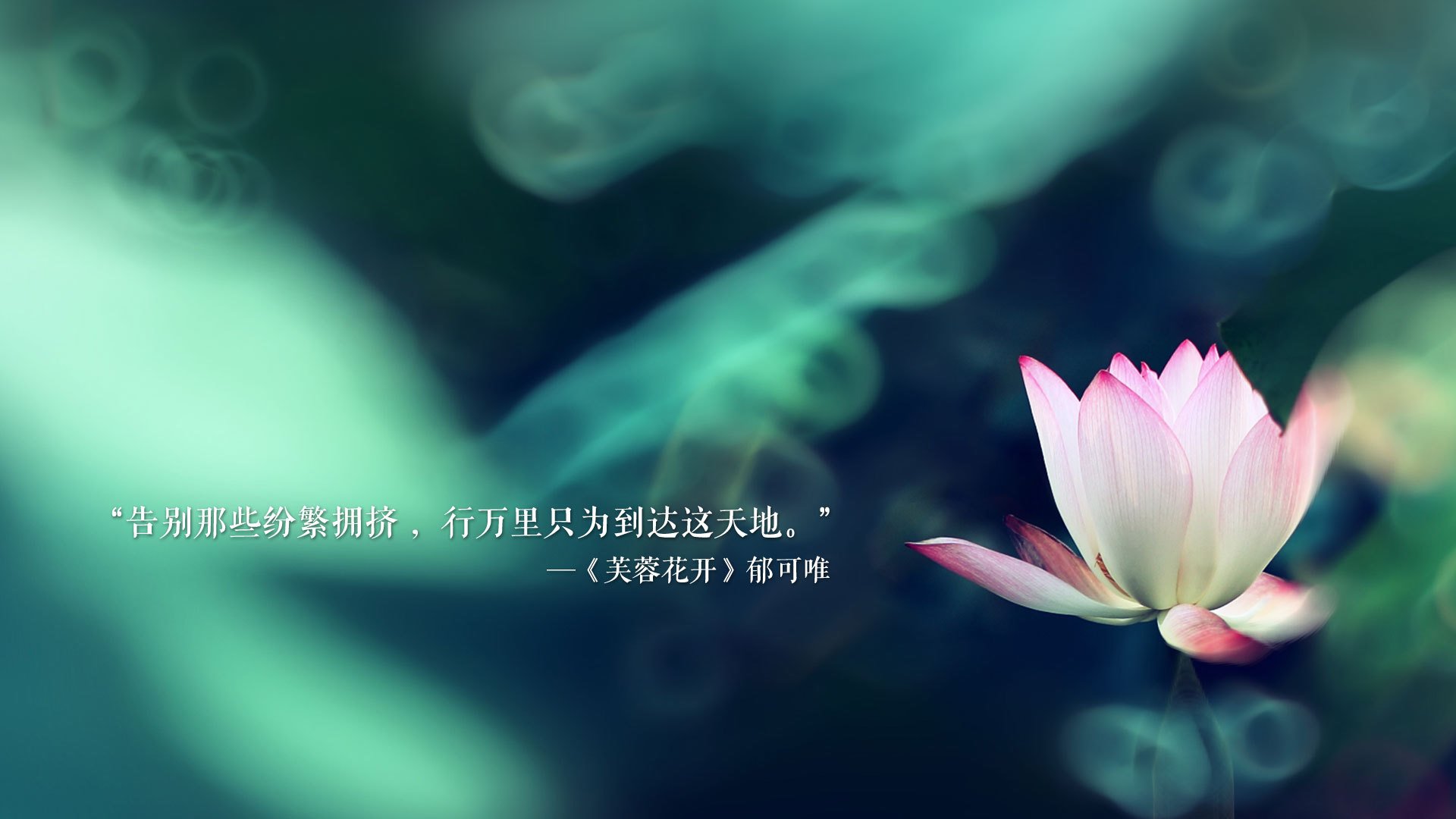 乐鱼电竞· (中国)官方网站-山东泰山球员转会动态，山东泰山 球员