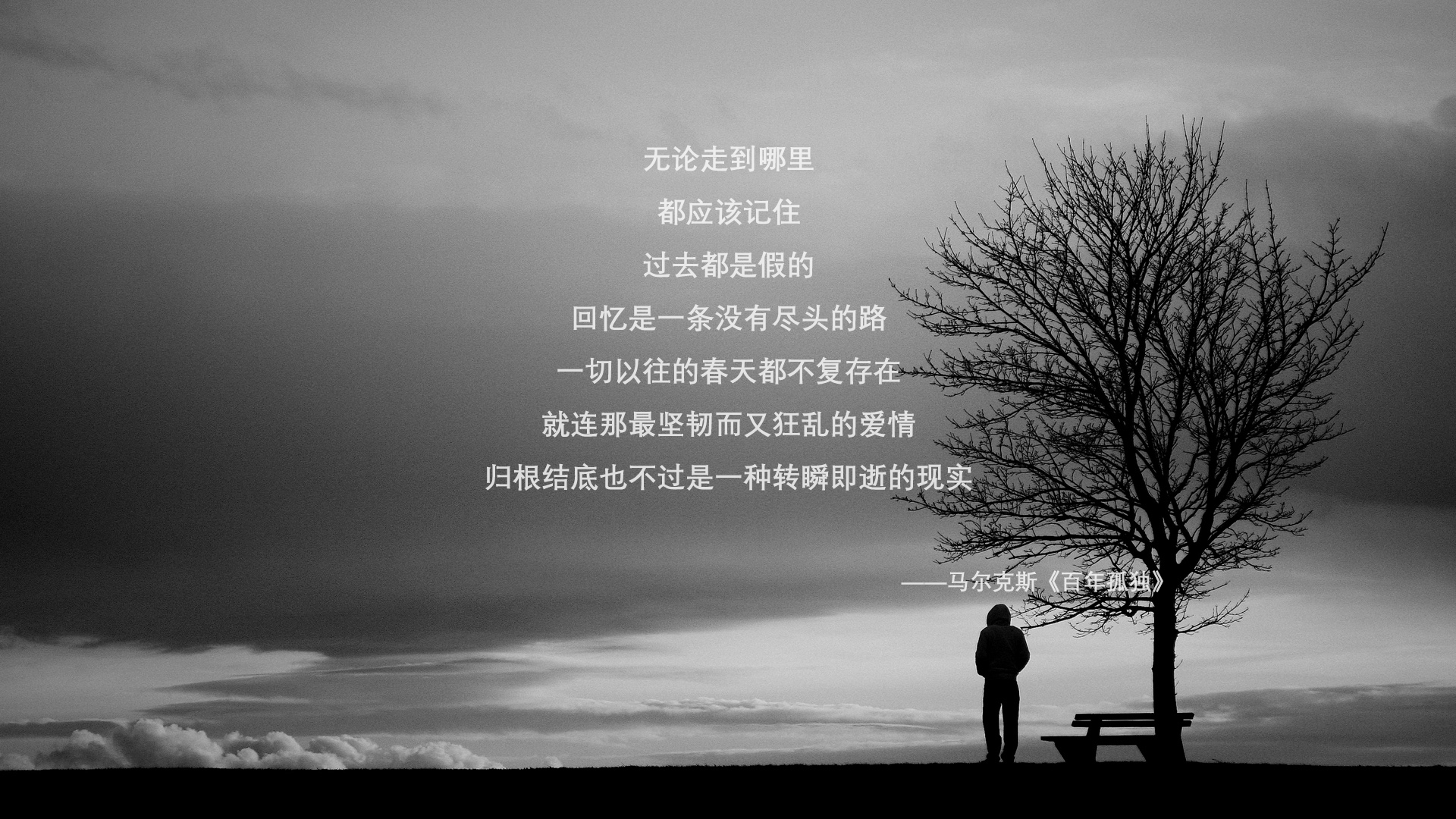 猛龙后卫连续砍分，带领球队逆转胜利，猛龙得分后卫