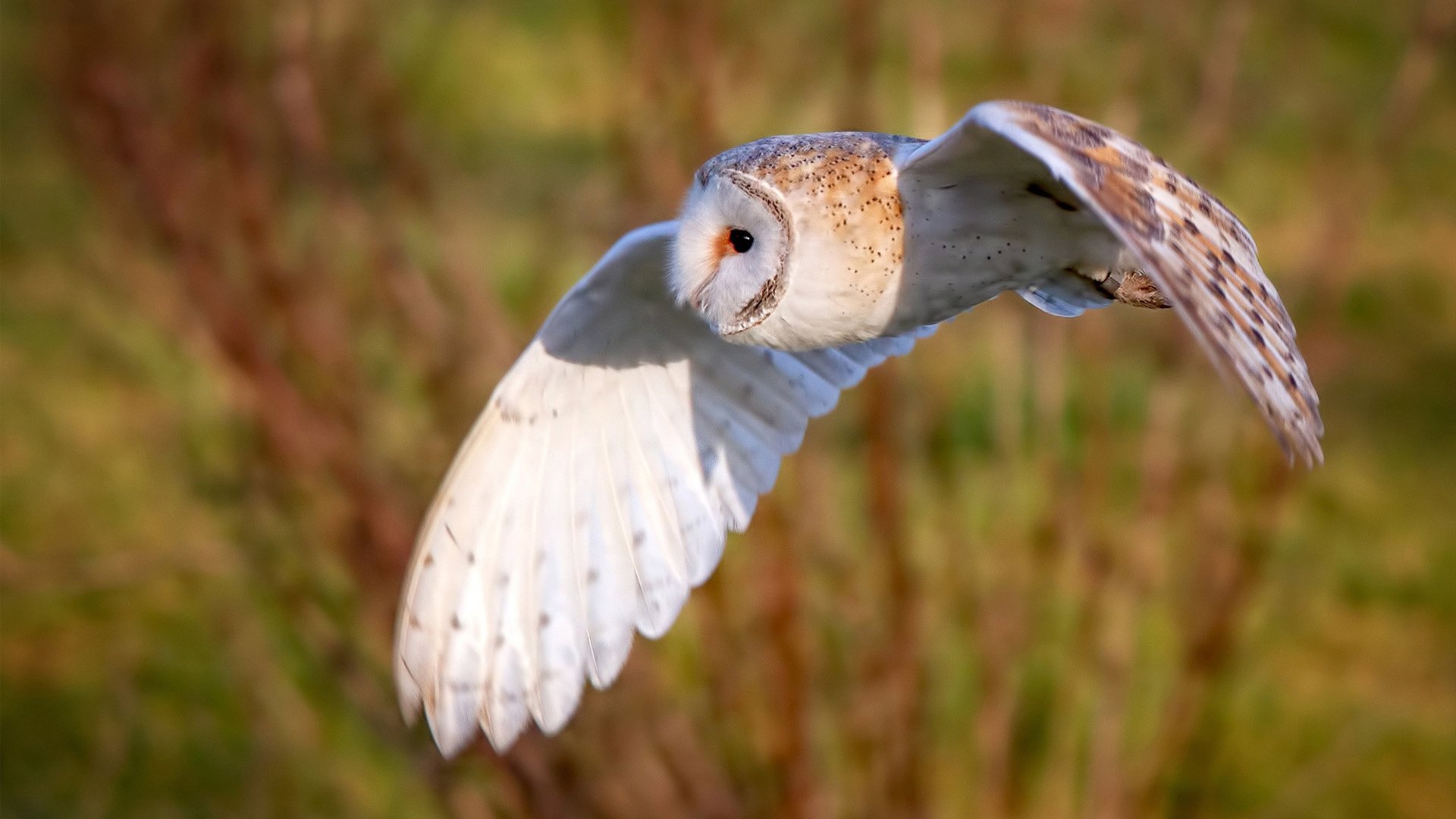 CBA赛季赛程公布 球迷期待火爆对决,cba赛程表季后赛时间表