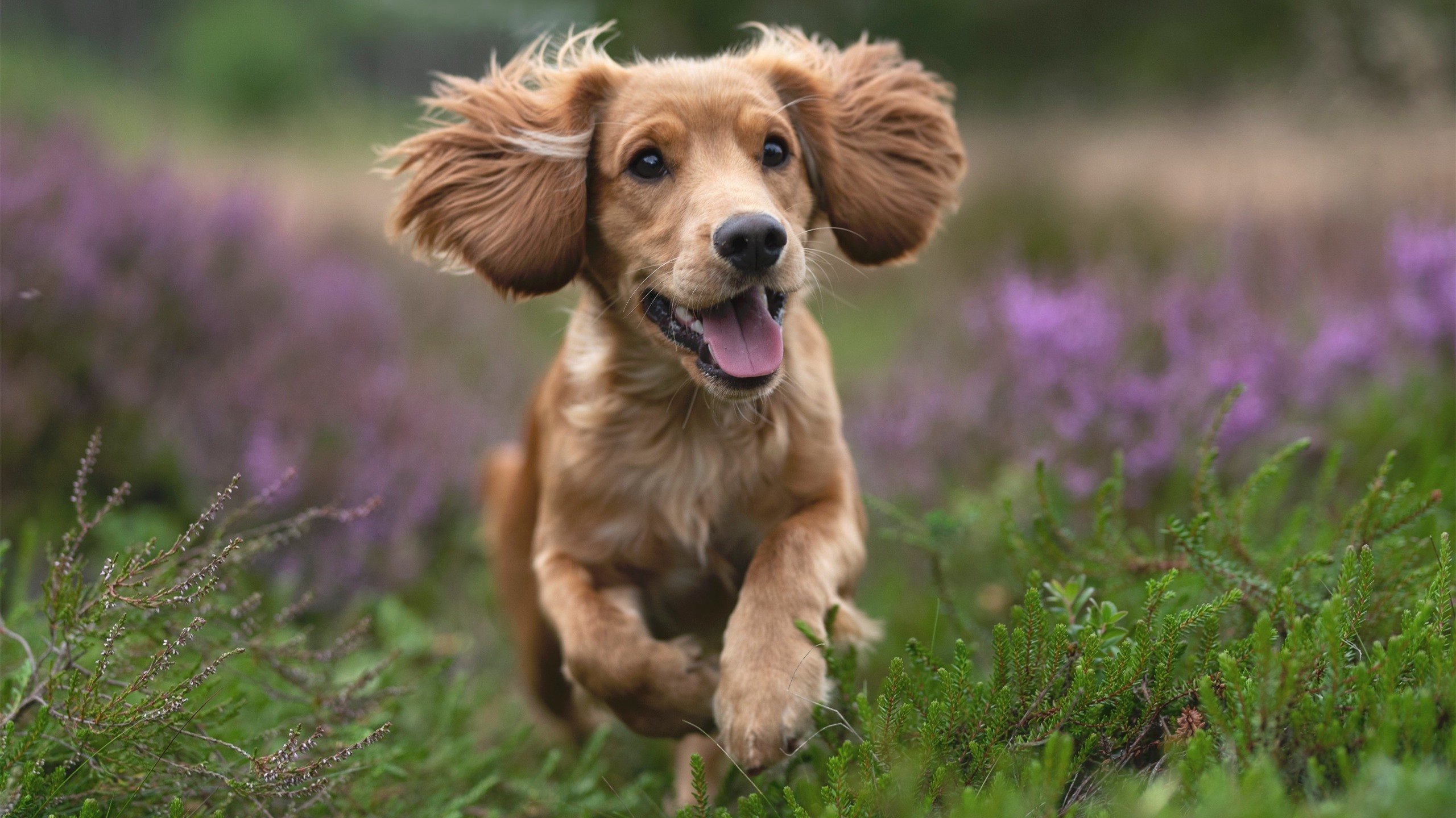 校园篮球课时不足是否影响基本功培养,篮球课时训练计划表