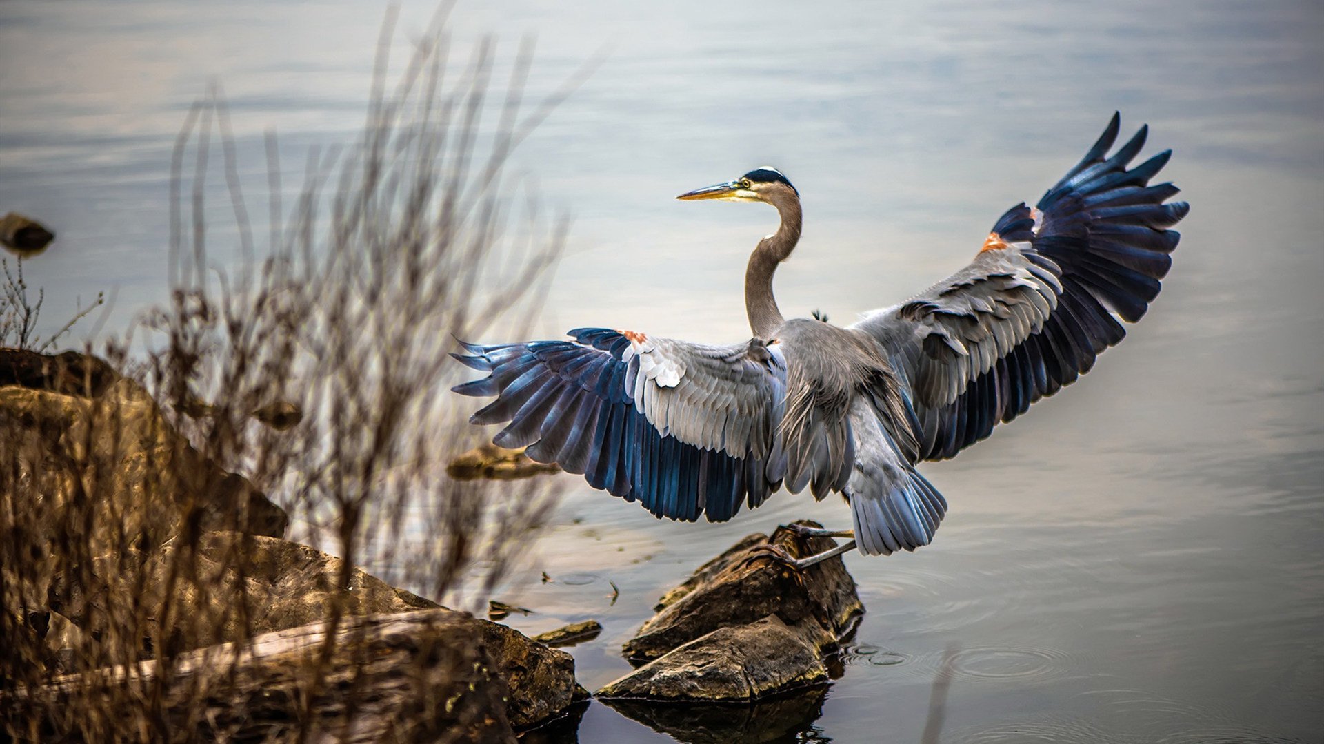 南苏丹年轻阵容崛起，未来可期，南苏丹到底什么情况
