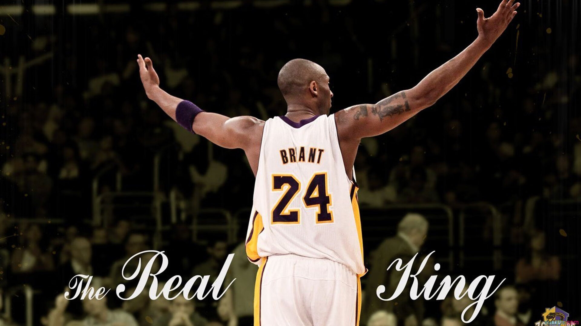 乐鱼体育平台官网-克罗地亚马术协会开展马匹福利宣传活动,提升公众意识。